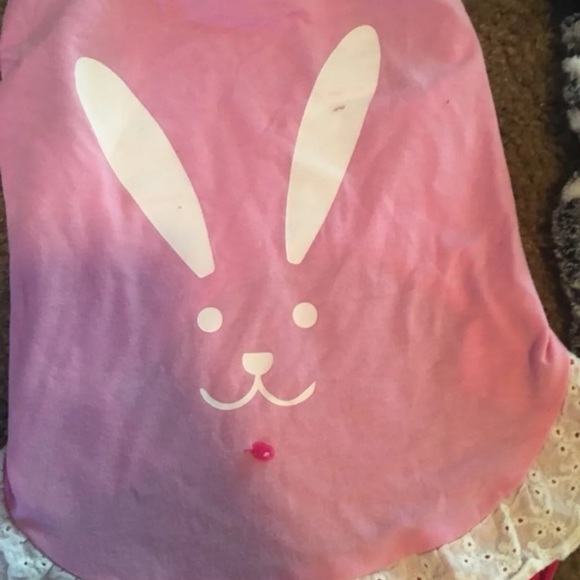 Puppy bundle! - Picture 4 of 4